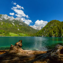 Hintersteiner See mit Wilden Kaiser mit Schwemmholz und Kaisergebirge