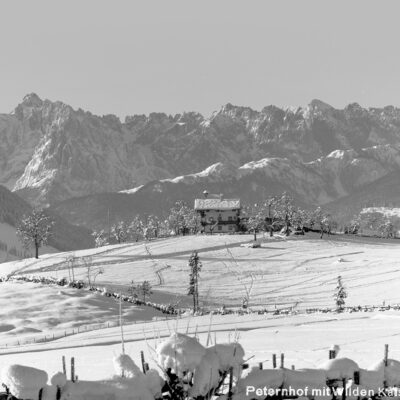 Hotel Peternhof mit Blick zum Wilder Kaiser