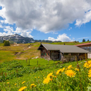 Steinplatte im Frühling mit Loferer Steinberge
