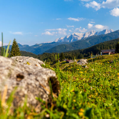 Winklmoos Alm im Sommer mit Steinernen Meer, Tirol, Salzburg, Chiemgau, Bayern, Deutschland