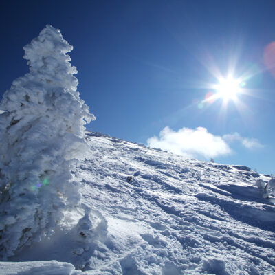 Sonnenstrahlen auf der Steinplatte im Winter, Tirol, Pillerseetal, Österreich