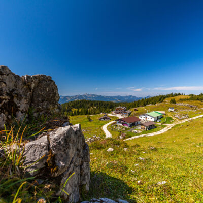 Eggenalm mit Chiemgauer Alpen im Sommer, Chiemgau, Bayern, Deutschland